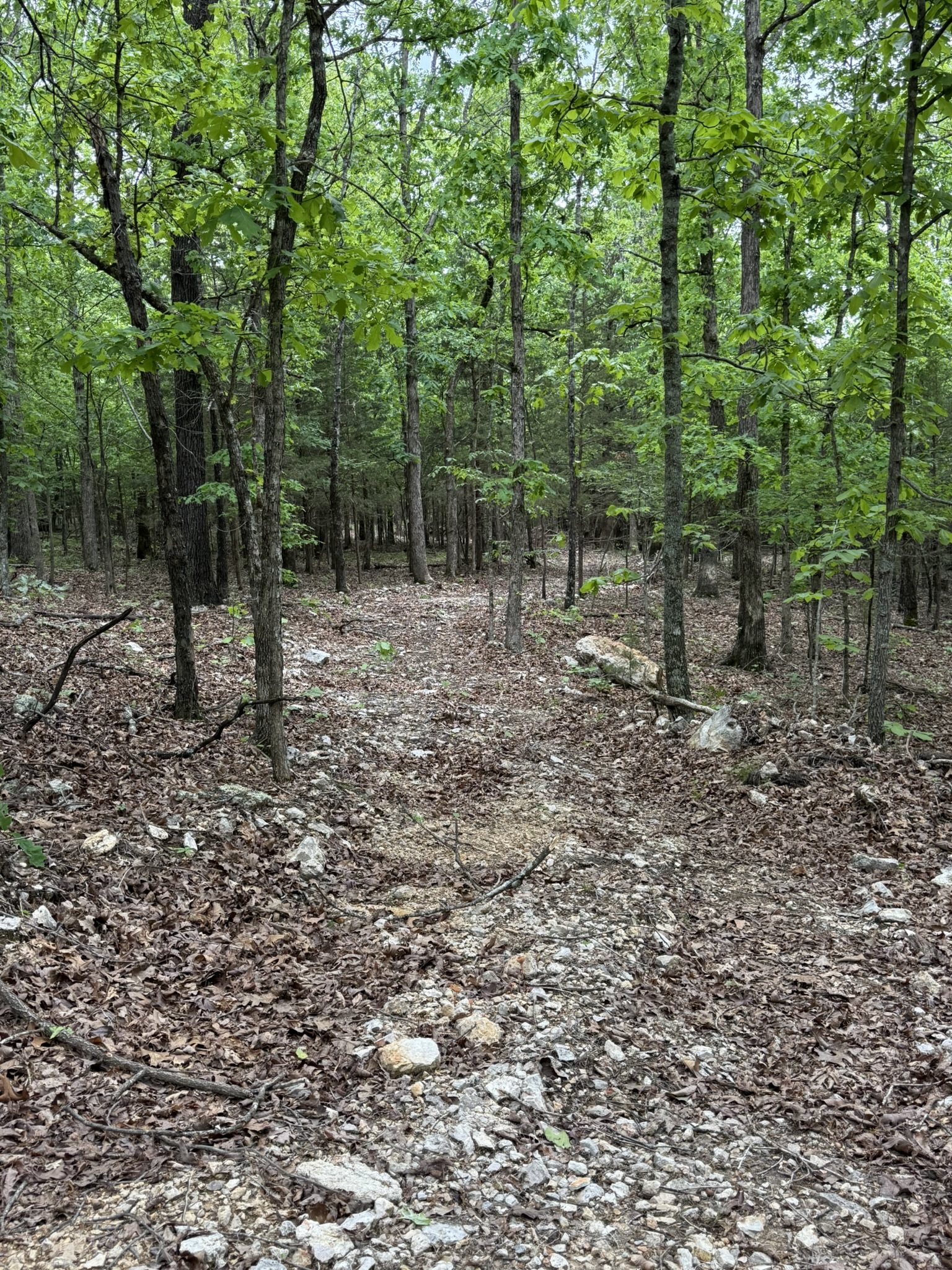 HUNTING AND RECREATIONAL LAND FOR SALE IN NORTH CENTRAL ARKANSAS