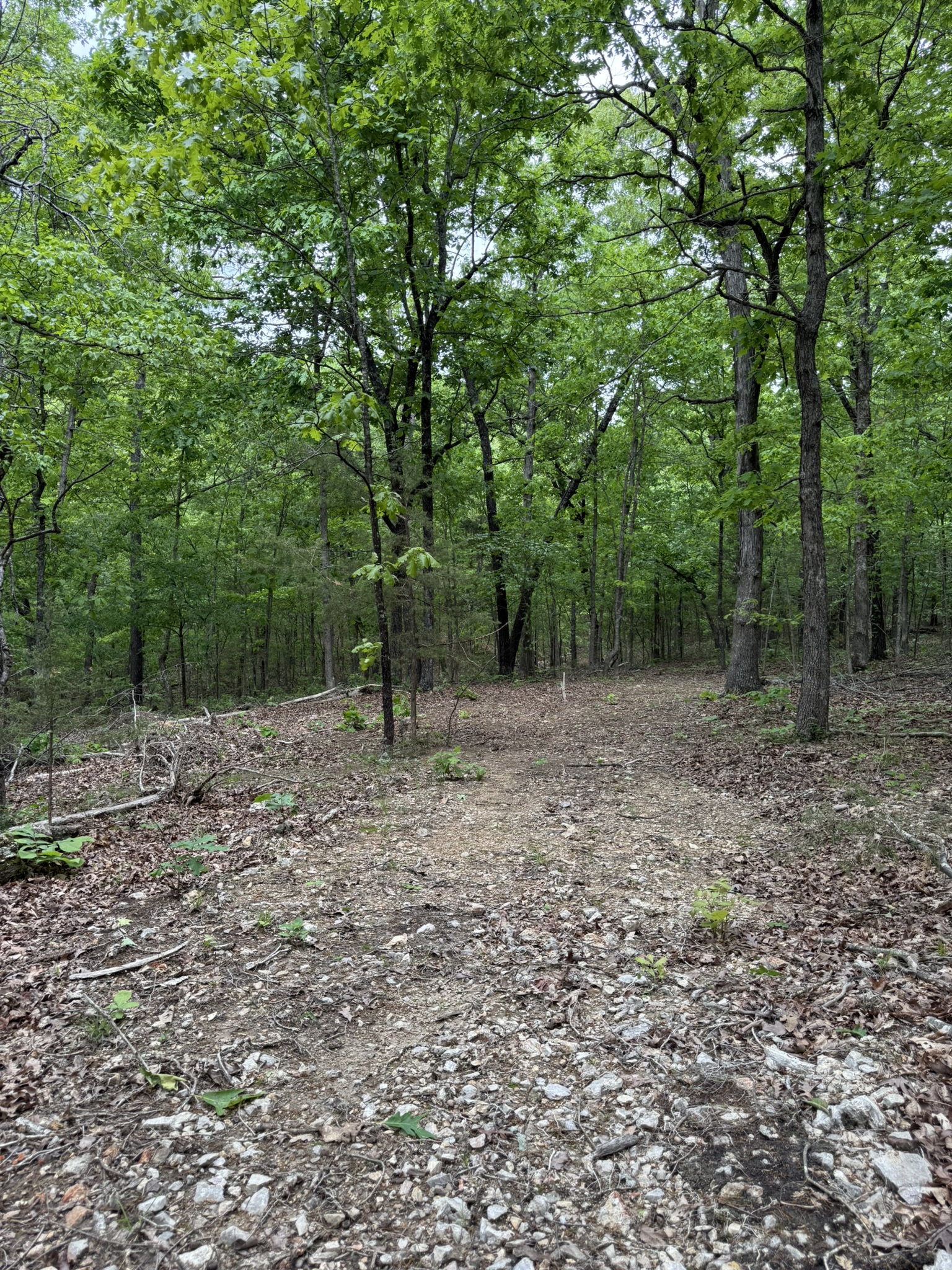 HUNTING AND RECREATIONAL LAND FOR SALE IN NORTH CENTRAL ARKANSAS