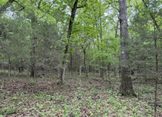 HUNTING AND RECREATIONAL LAND FOR SALE IN NORTH CENTRAL ARKANSAS