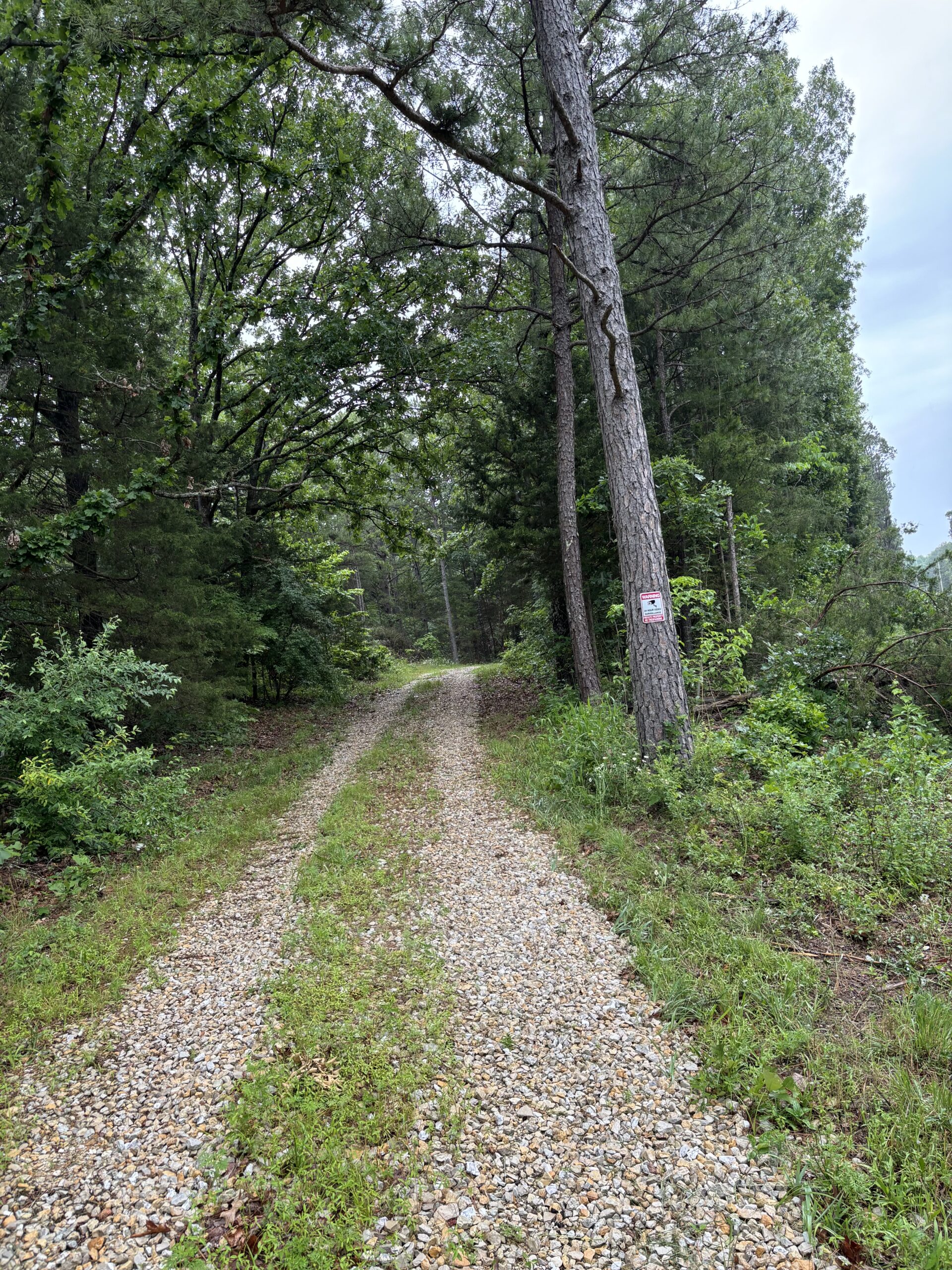 Hunting Property for Sale in Edgar Springs, MO