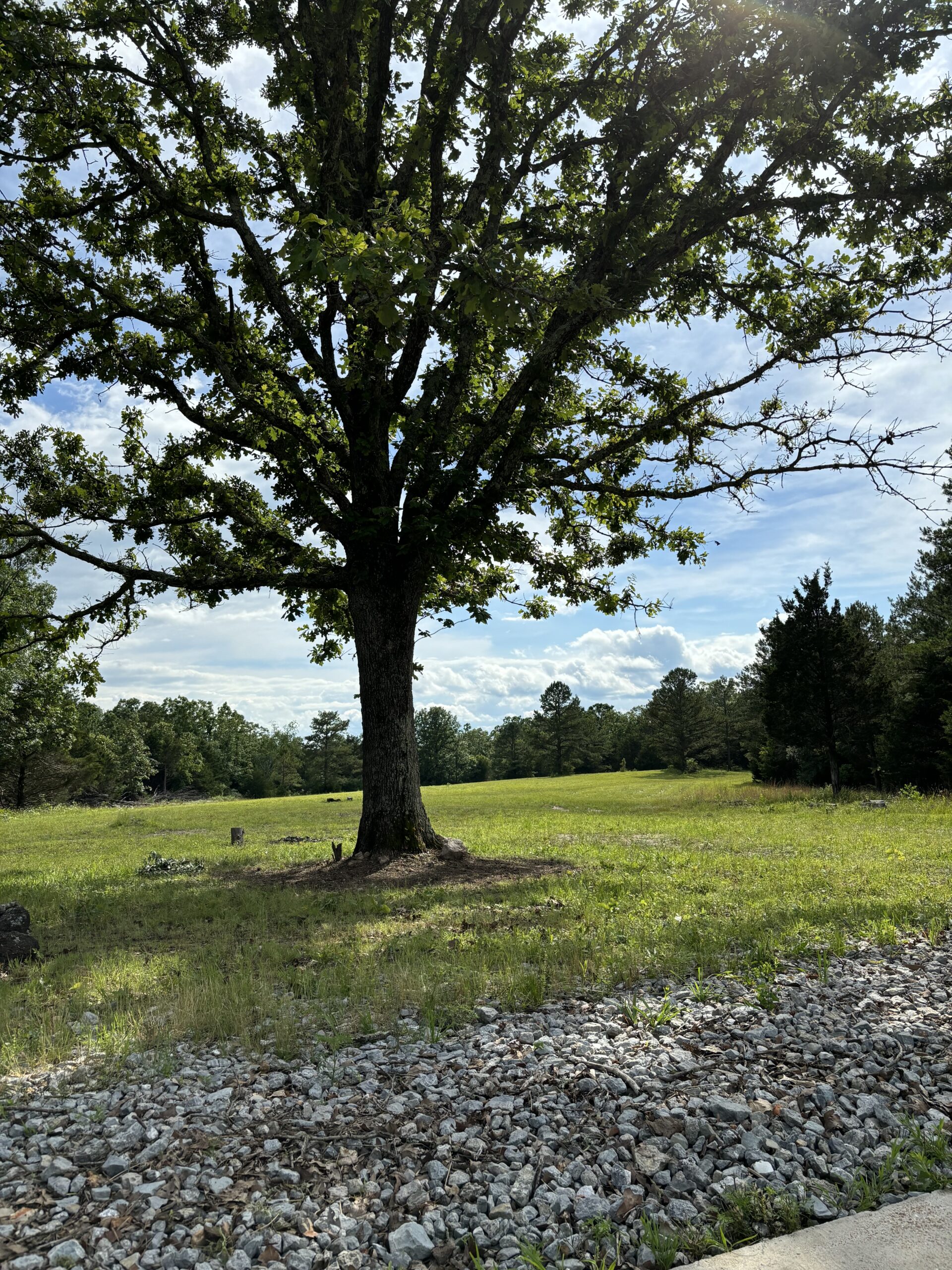 Hunting Property for Sale in Edgar Springs, MO