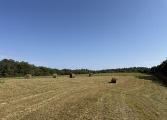 LAND FOR SALE IN OZARK MOUNTAINS OF ARKANSAS