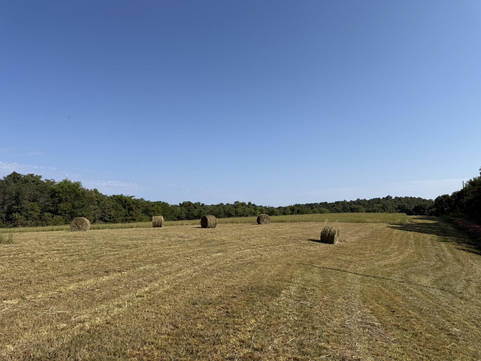 LAND FOR SALE IN OZARK MOUNTAINS OF ARKANSAS