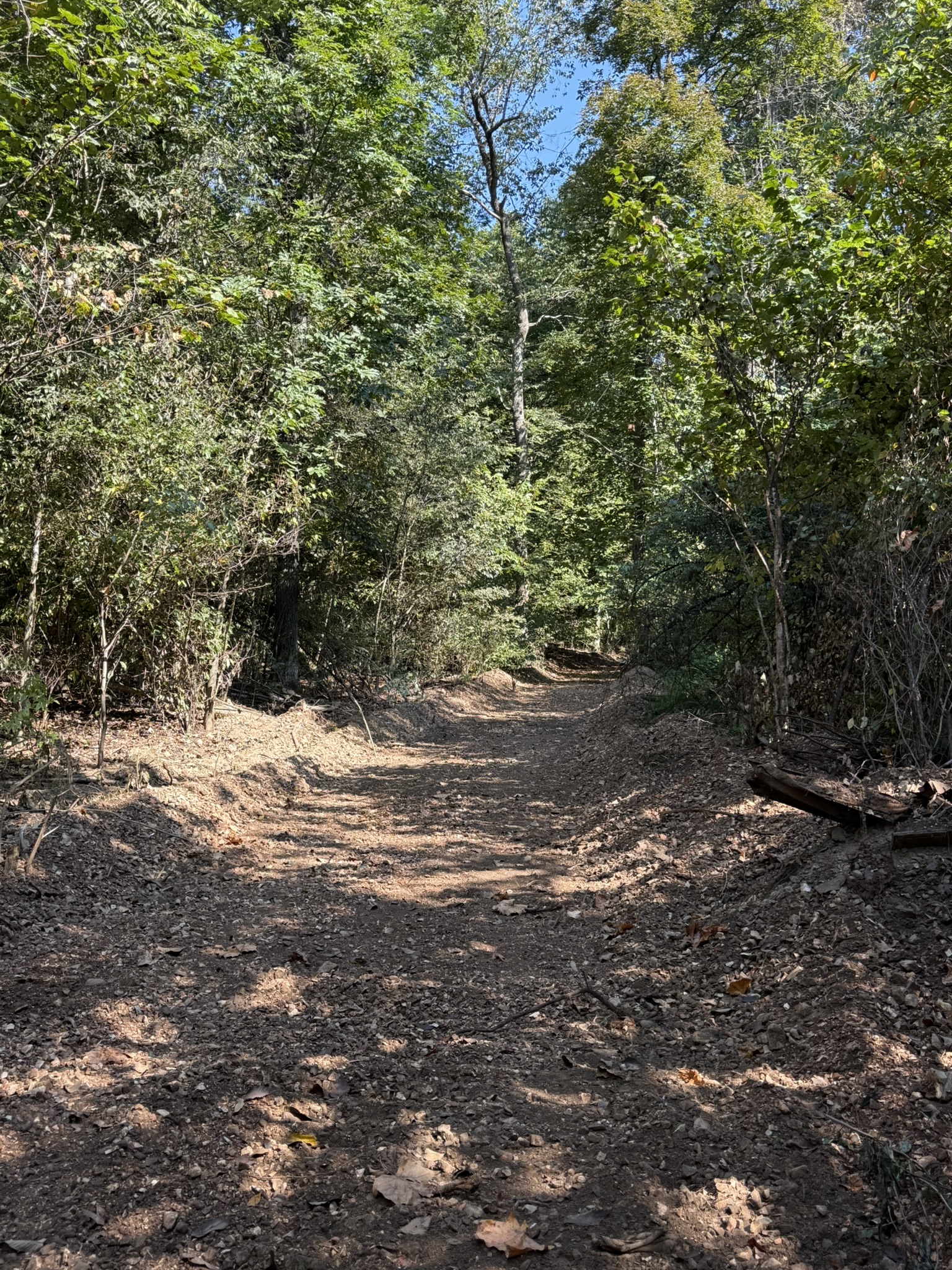 HUNTING AND RECREATIONAL LAND FOR SALE IN ARKANSAS OZARKS