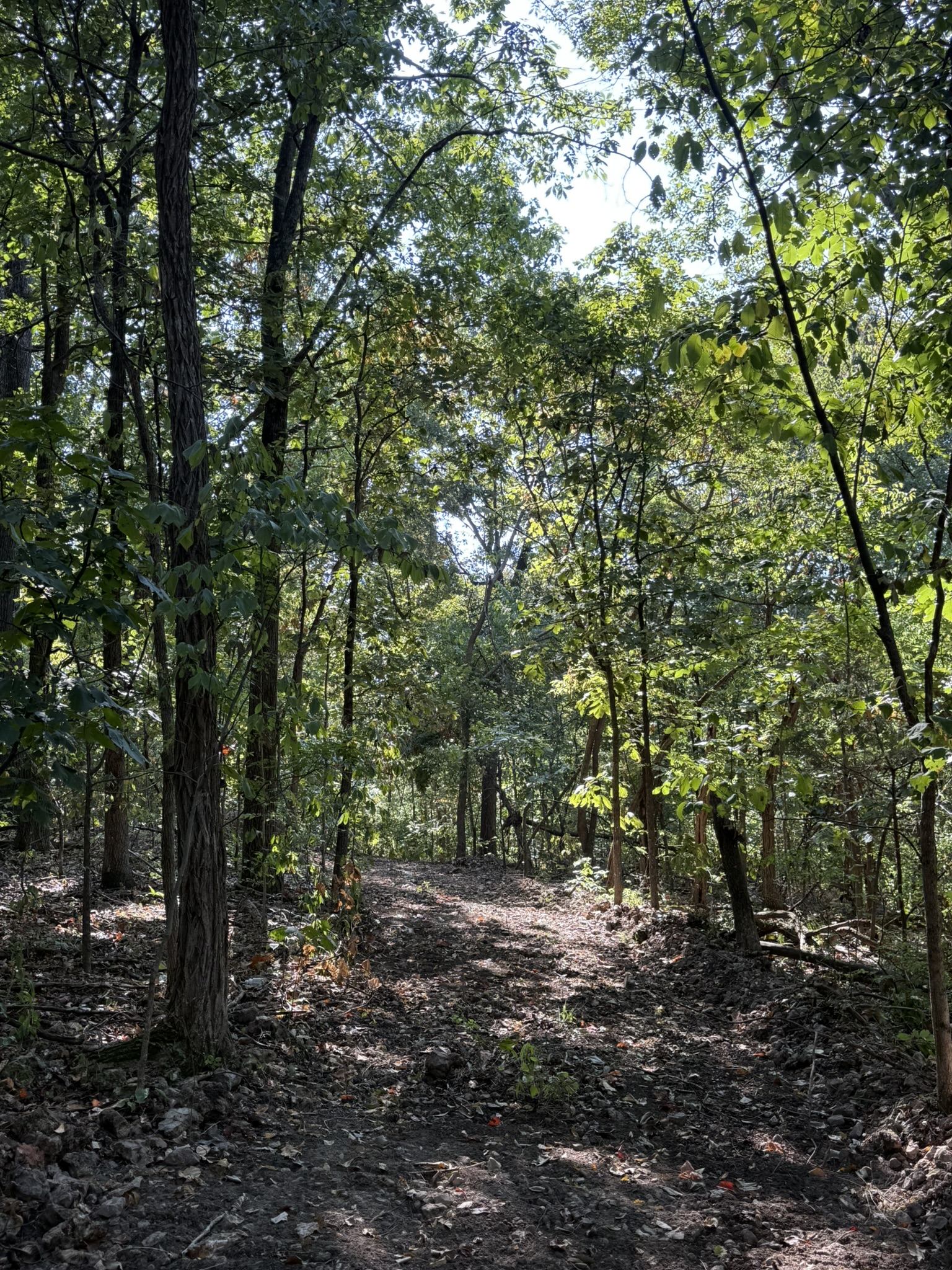 HUNTING AND RECREATIONAL LAND FOR SALE IN ARKANSAS OZARKS
