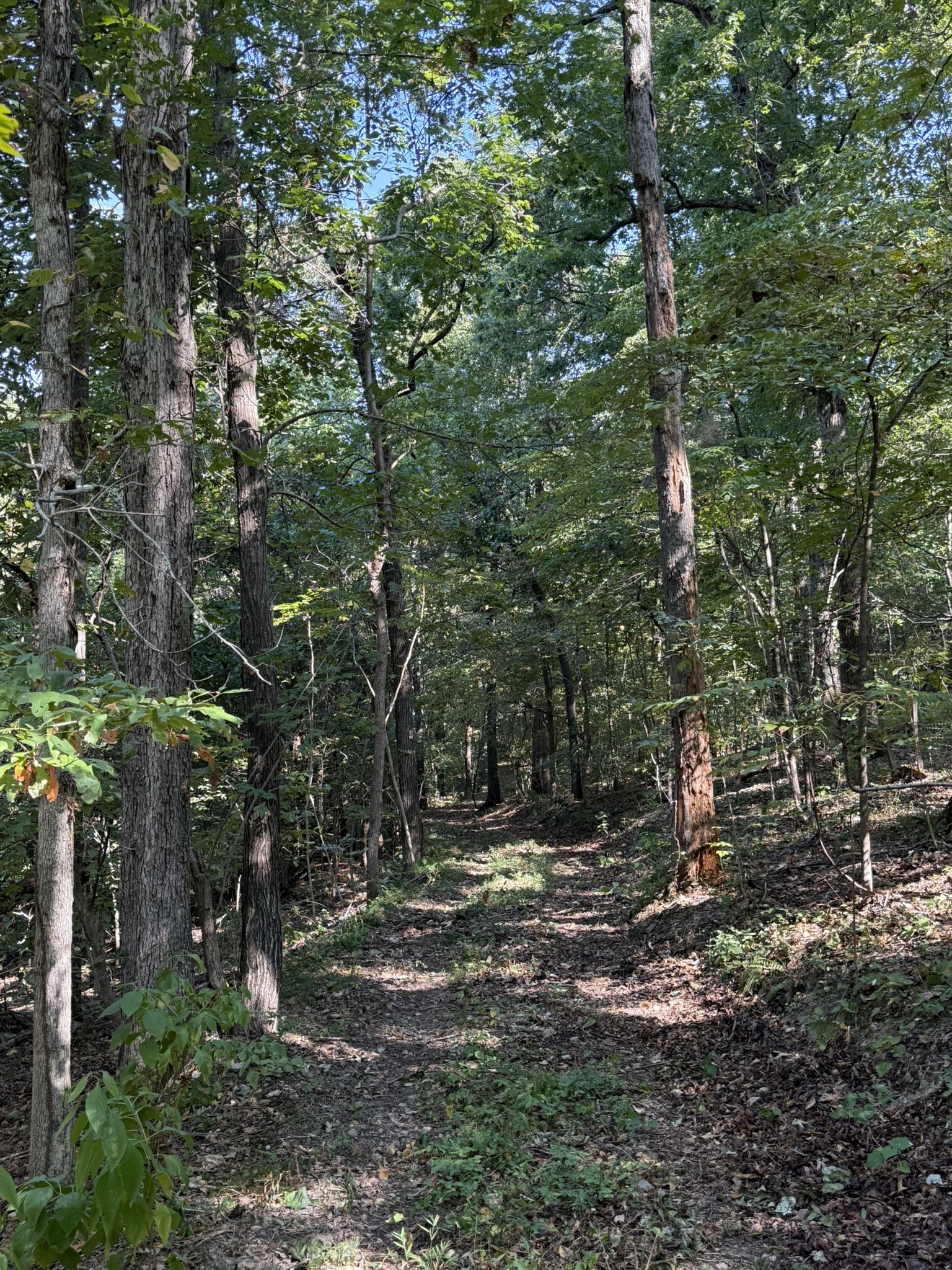 HUNTING AND RECREATIONAL LAND FOR SALE IN ARKANSAS OZARKS