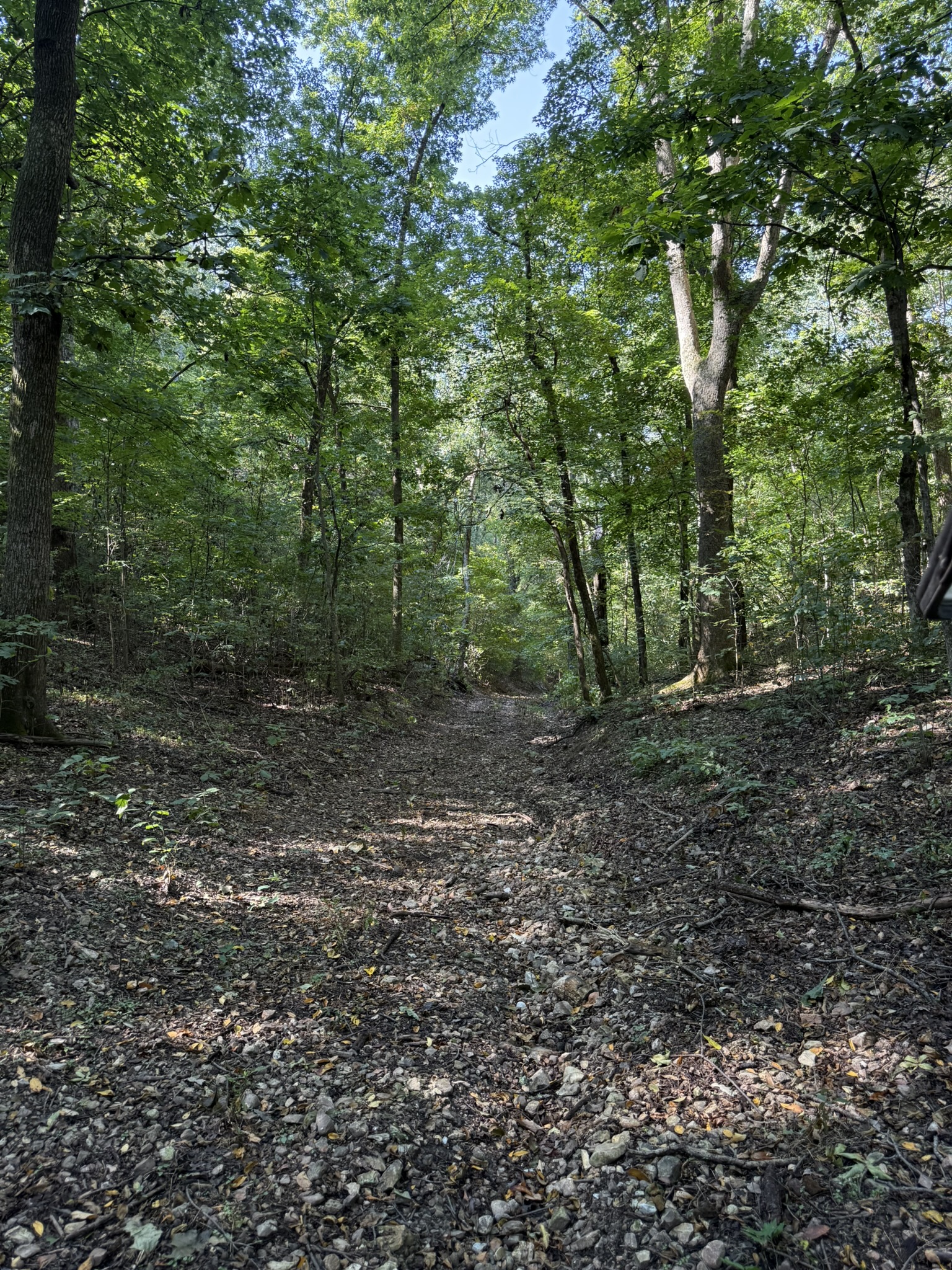 HUNTING AND RECREATIONAL LAND FOR SALE IN ARKANSAS OZARKS