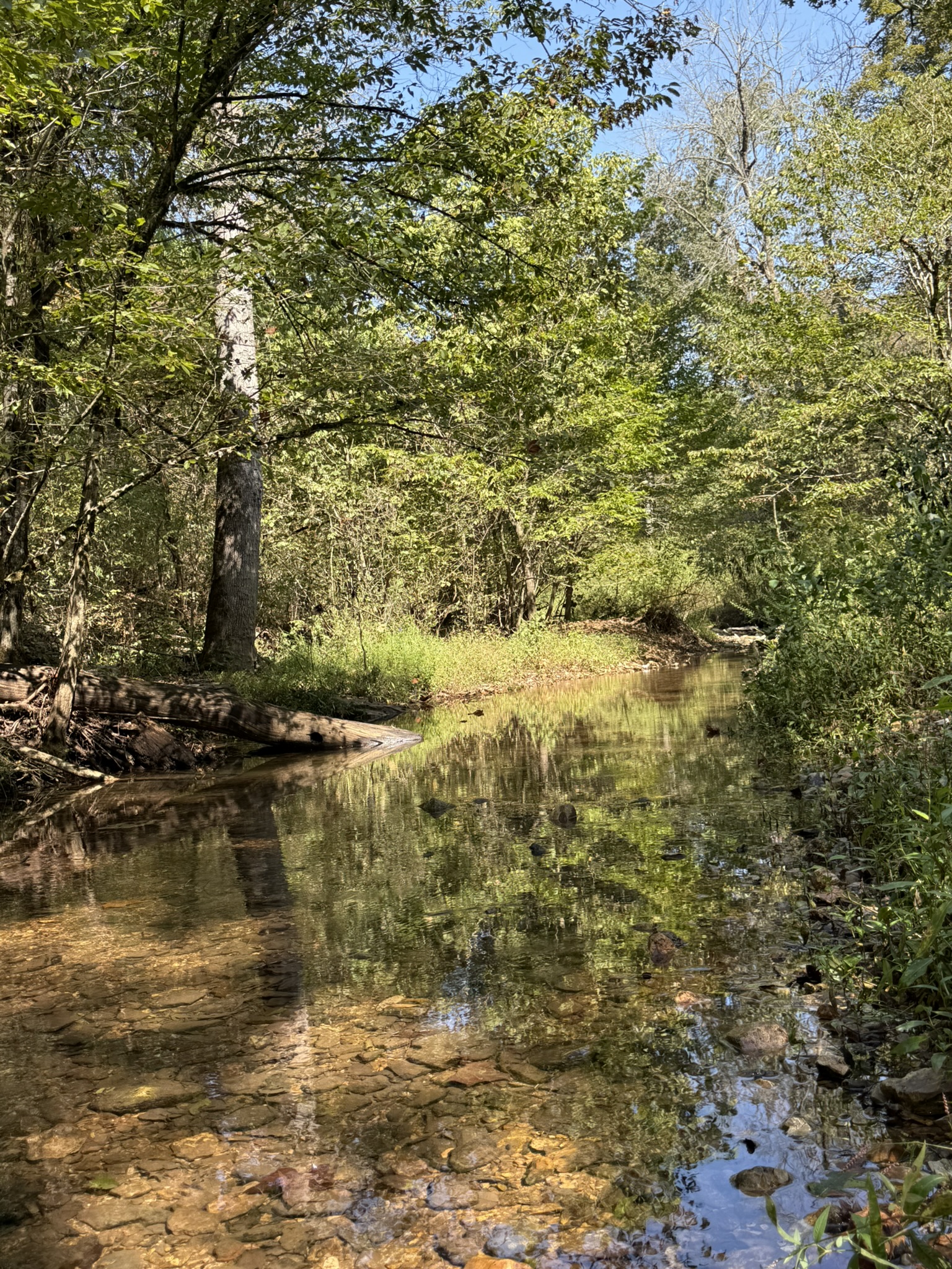 HUNTING AND RECREATIONAL LAND FOR SALE IN ARKANSAS OZARKS