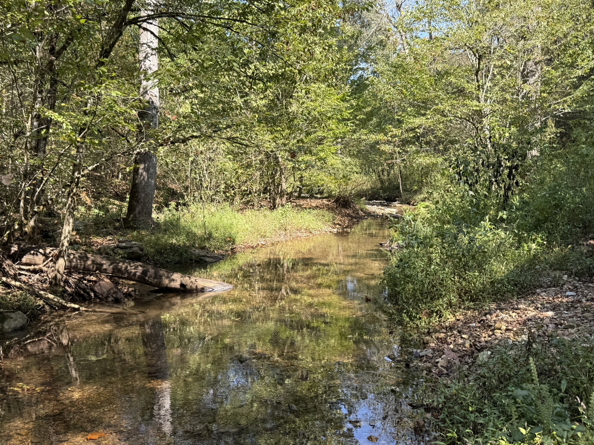 HUNTING AND RECREATIONAL LAND FOR SALE IN ARKANSAS OZARKS