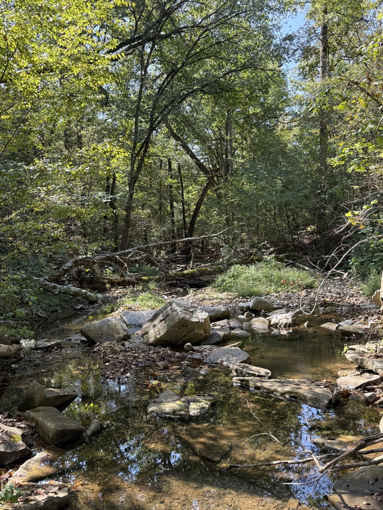 HUNTING AND RECREATIONAL LAND FOR SALE IN ARKANSAS OZARKS
