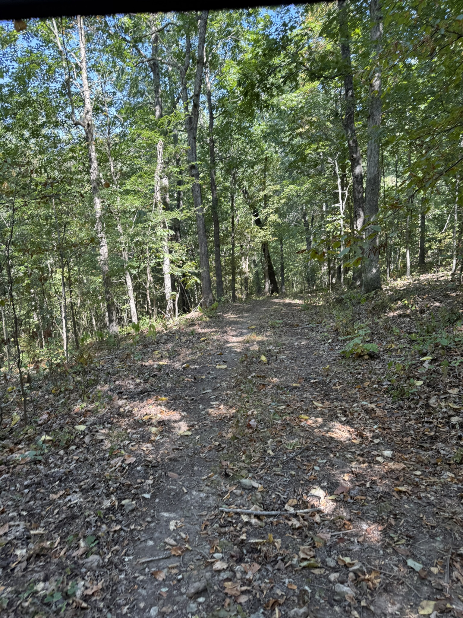 LAND FOR SALE IN OZARK MOUNTAINS OF ARKANSAS