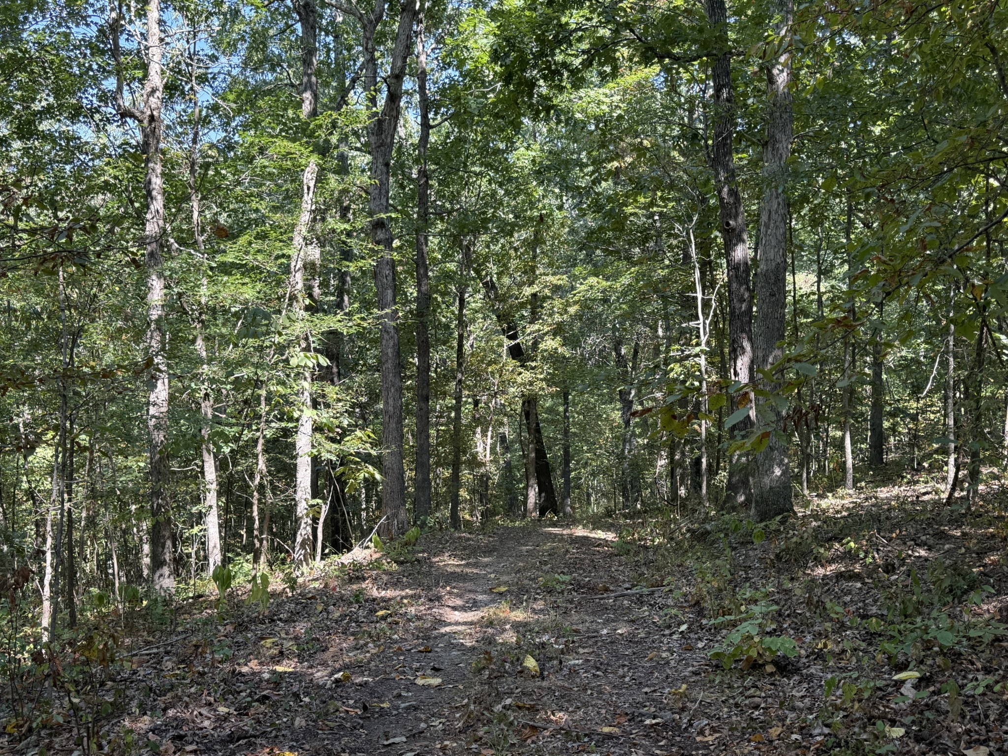 HUNTING AND RECREATIONAL LAND FOR SALE IN ARKANSAS OZARKS