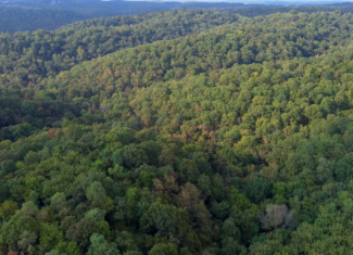 HUNTING AND RECREATIONAL LAND FOR SALE IN ARKANSAS OZARKS