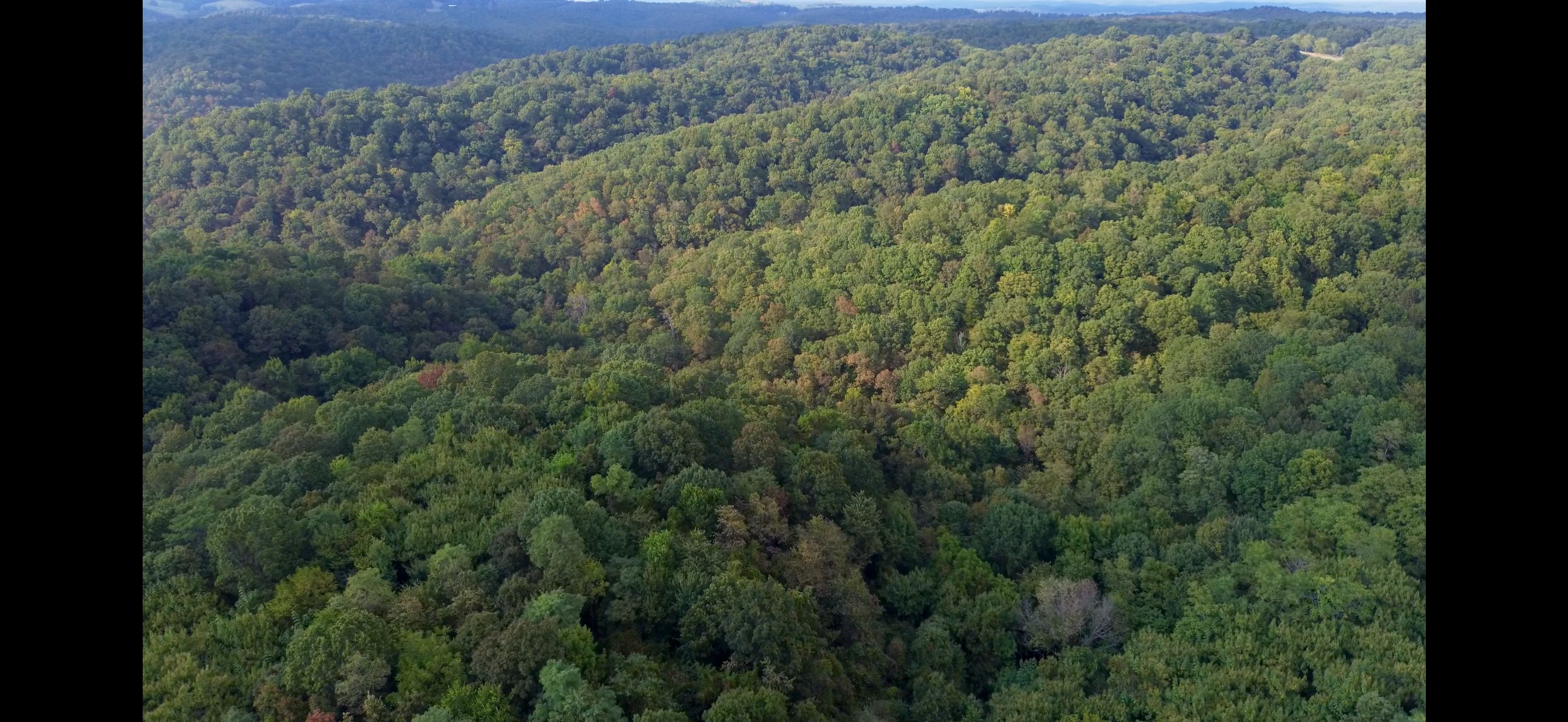 HUNTING AND RECREATIONAL LAND FOR SALE IN ARKANSAS OZARKS