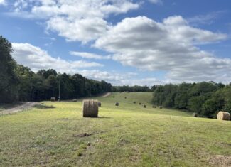 LAND FOR SALE IN OZARK MOUNTAINS OF ARKANSAS