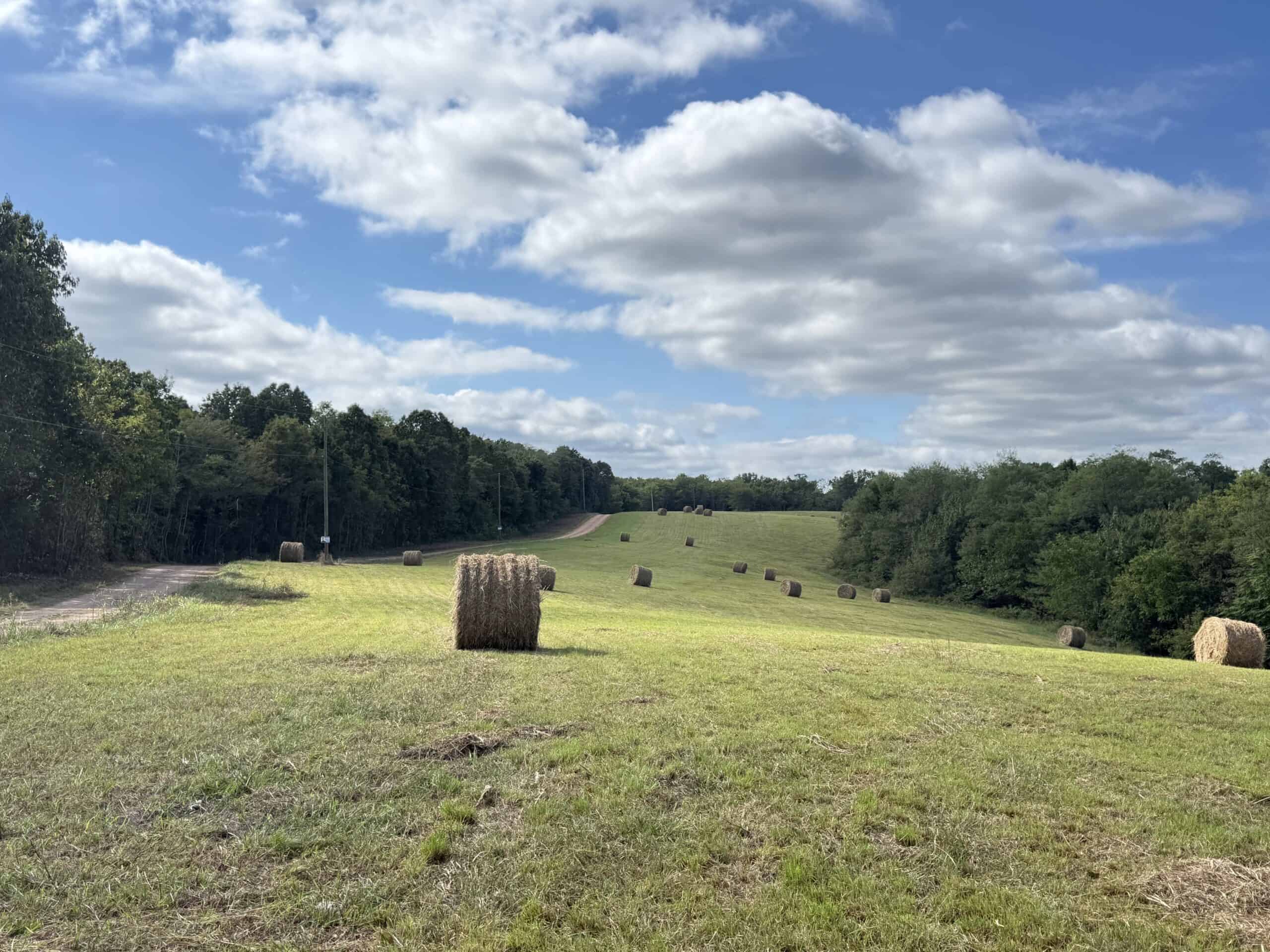 LAND FOR SALE IN OZARK MOUNTAINS OF ARKANSAS