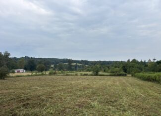 Great Homesite | Hunting Opportunity in Linden, Texas