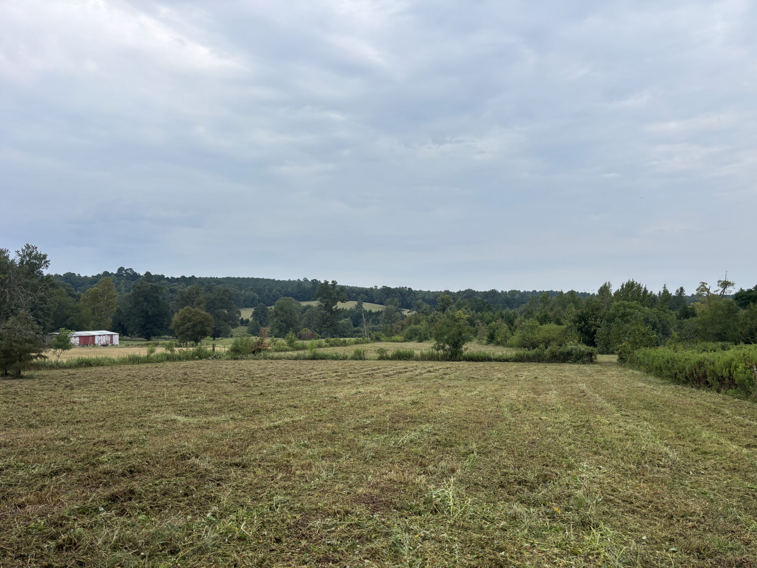 Great Homesite | Hunting Opportunity in Linden, Texas