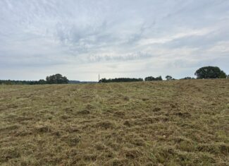 Great Homesite | Hunting Opportunity in Linden, Texas