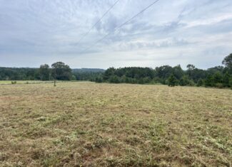 Great Homesite | Hunting Opportunity in Linden, Texas