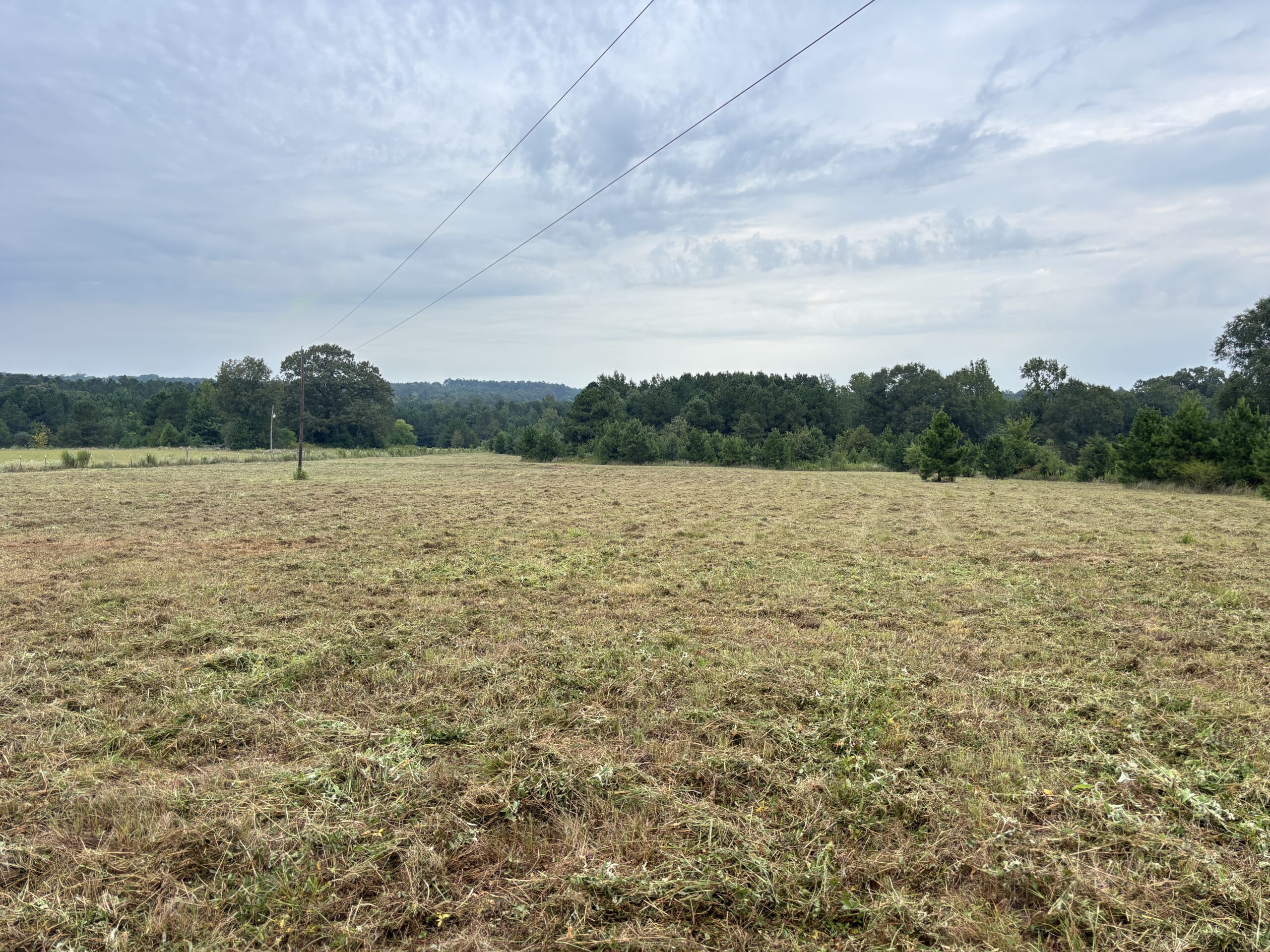 Great Homesite | Hunting Opportunity in Linden, Texas
