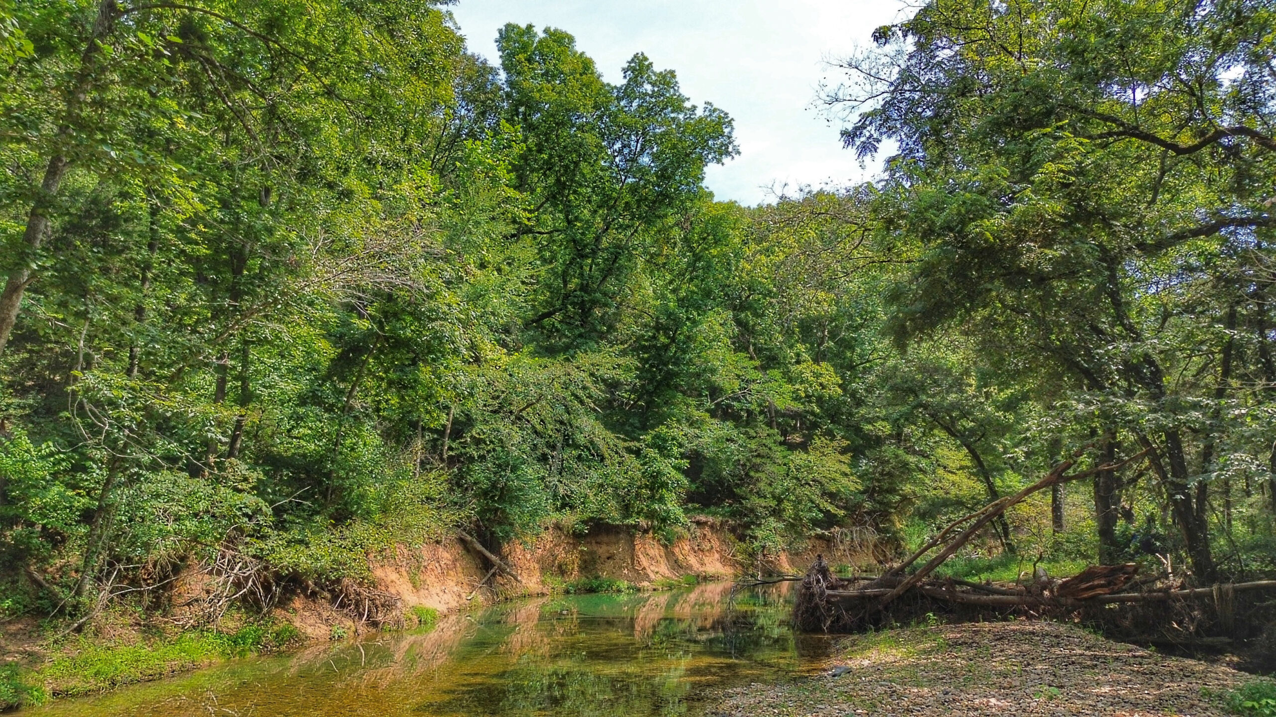 Legacy Northwest Arkansas Acreage For Sale