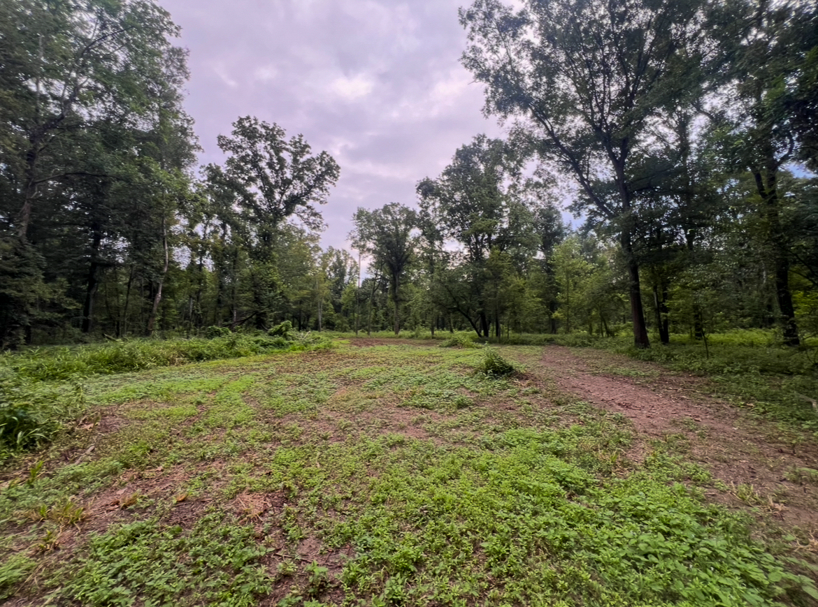 Lorman, MS Hunting Property near the Mississippi River