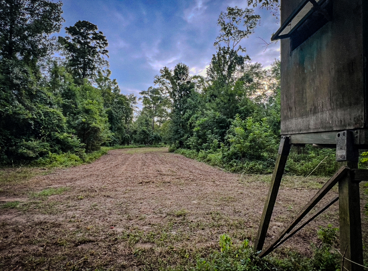 Lorman, MS Hunting Property near the Mississippi River