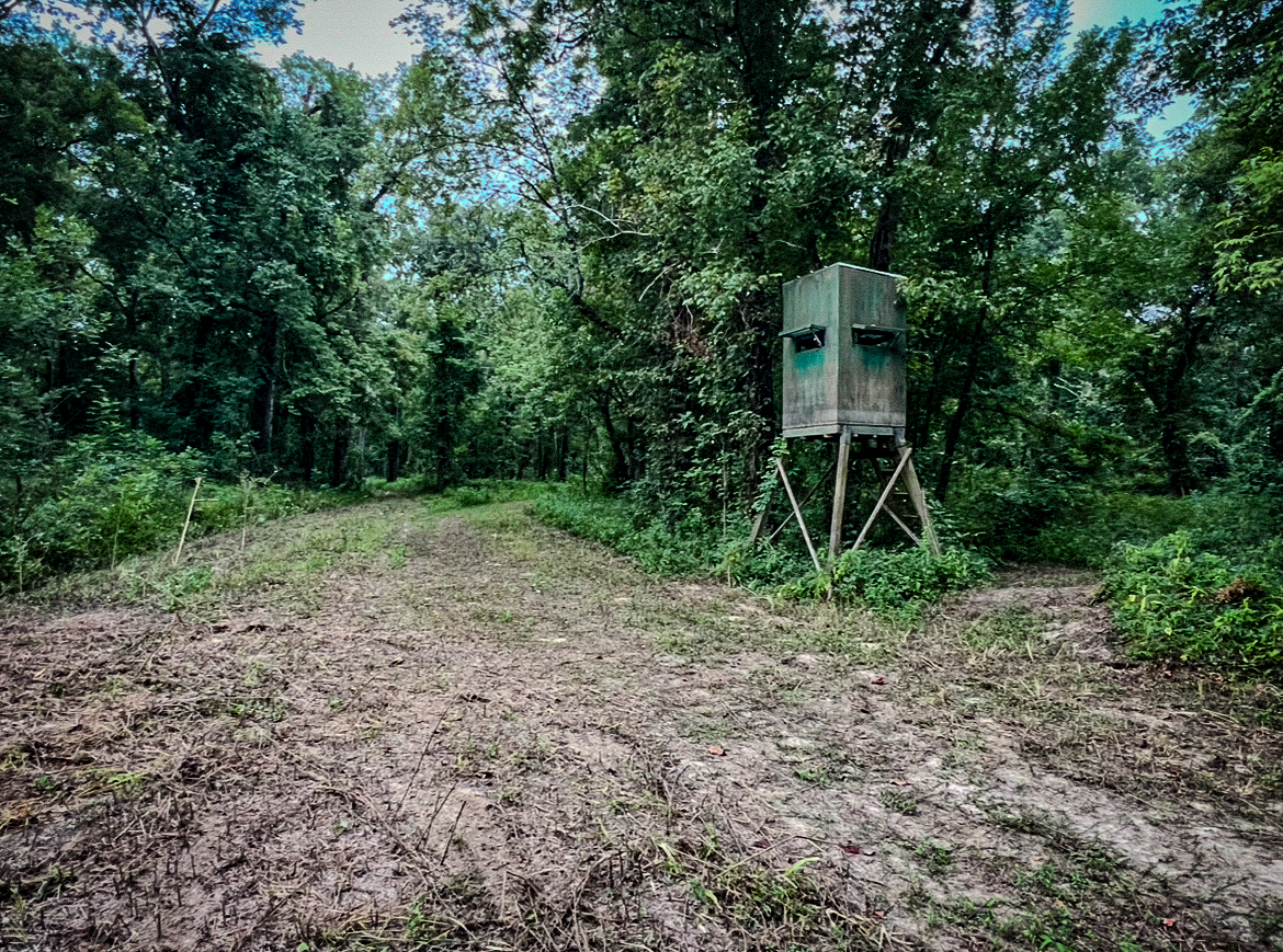 Lorman, MS Hunting Property near the Mississippi River