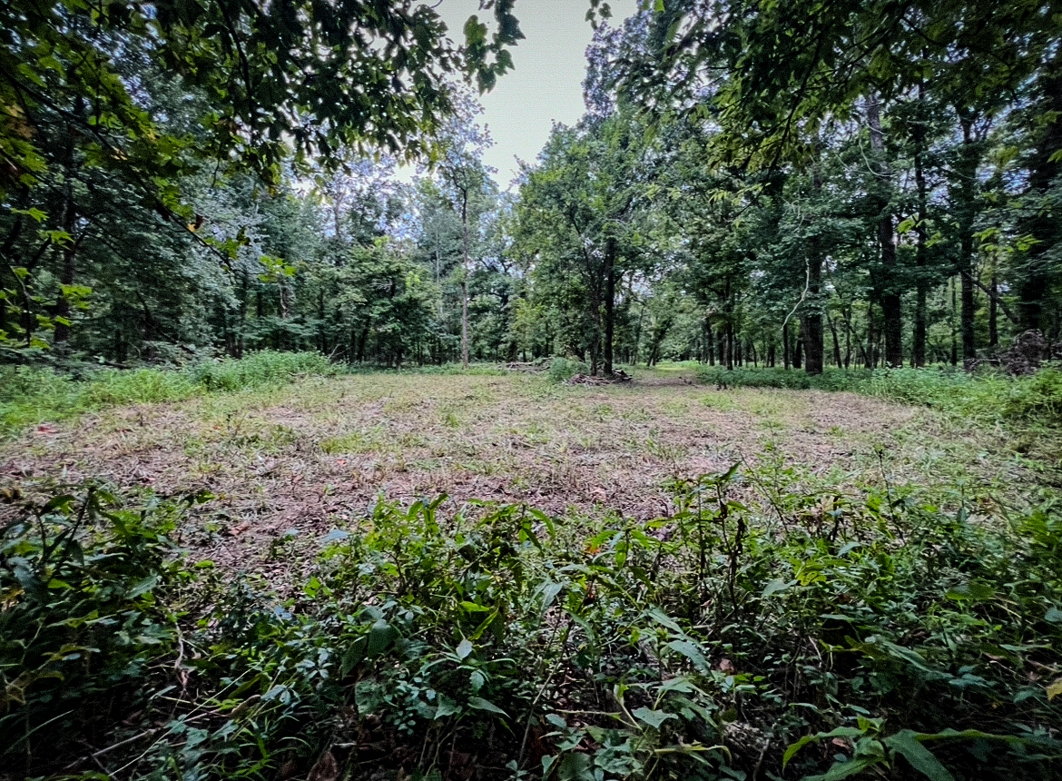 Lorman, MS Hunting Property near the Mississippi River