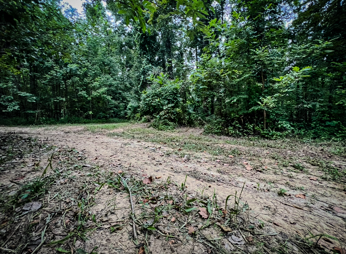 Lorman, MS Hunting Property near the Mississippi River