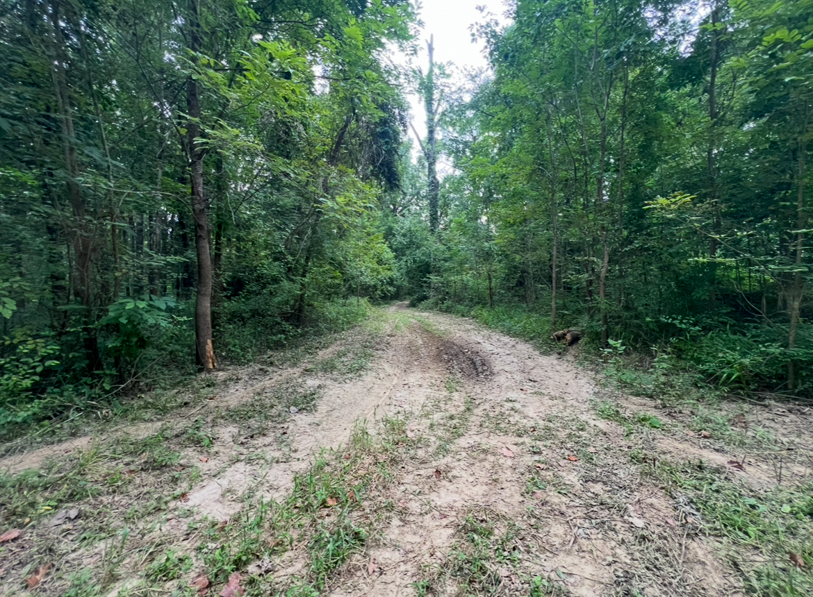 Lorman, MS Hunting Property near the Mississippi River