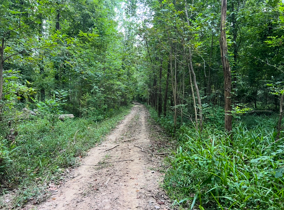 Lorman, MS Hunting Property near the Mississippi River