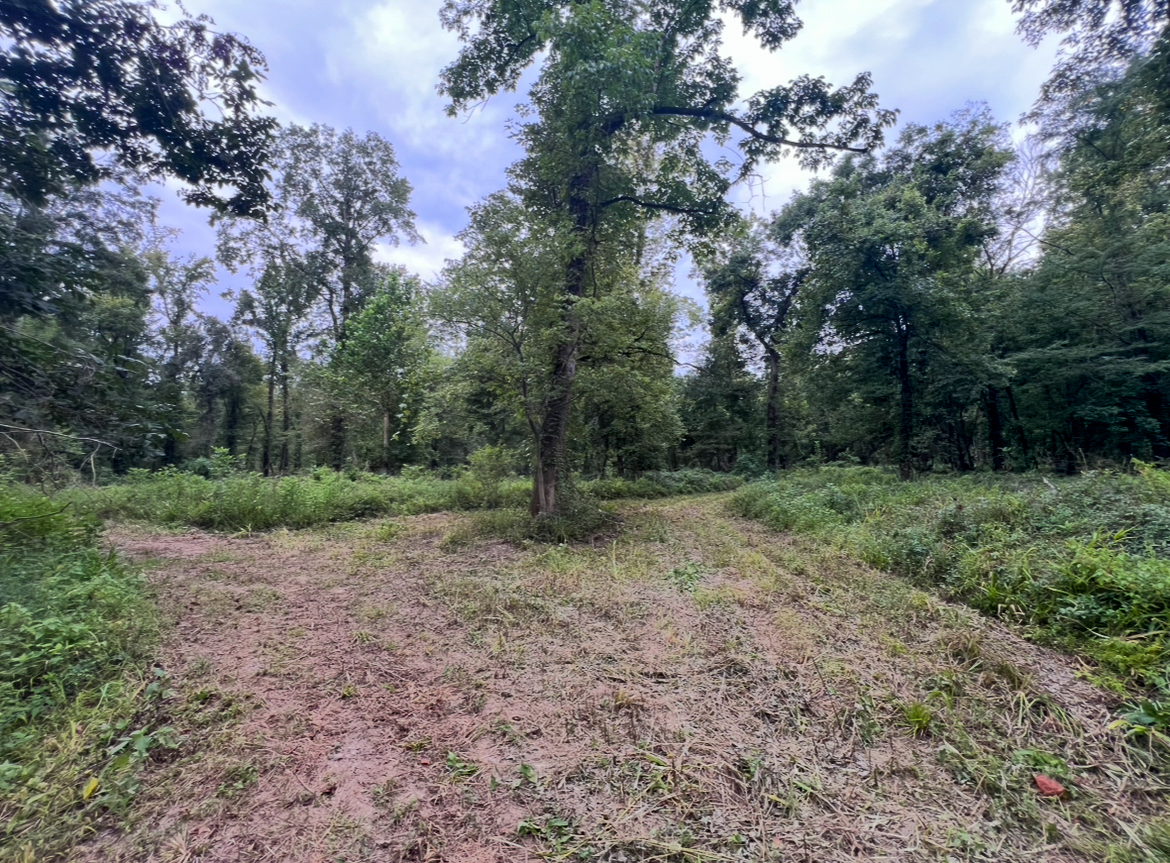 Lorman, MS Hunting Property near the Mississippi River