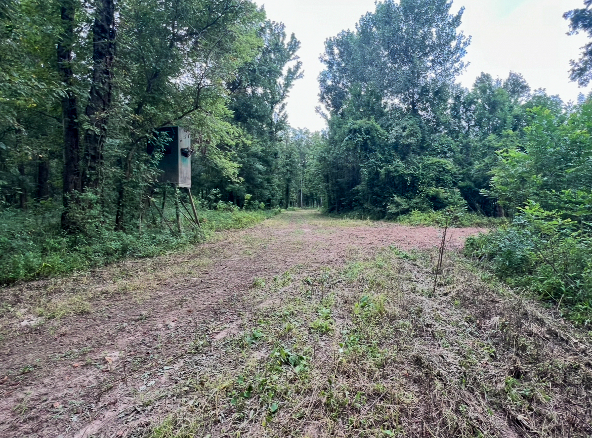 Lorman, MS Hunting Property near the Mississippi River