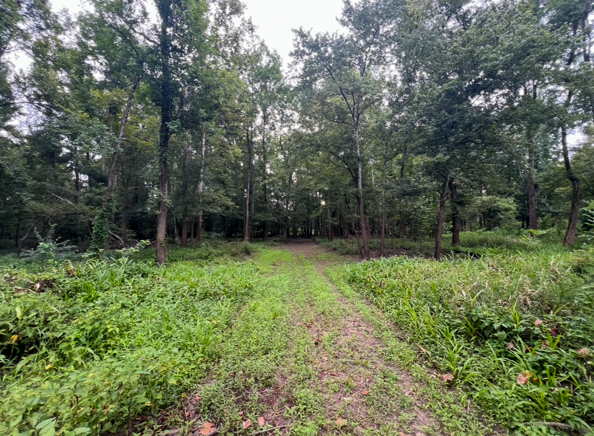 Lorman, MS Hunting Property near the Mississippi River