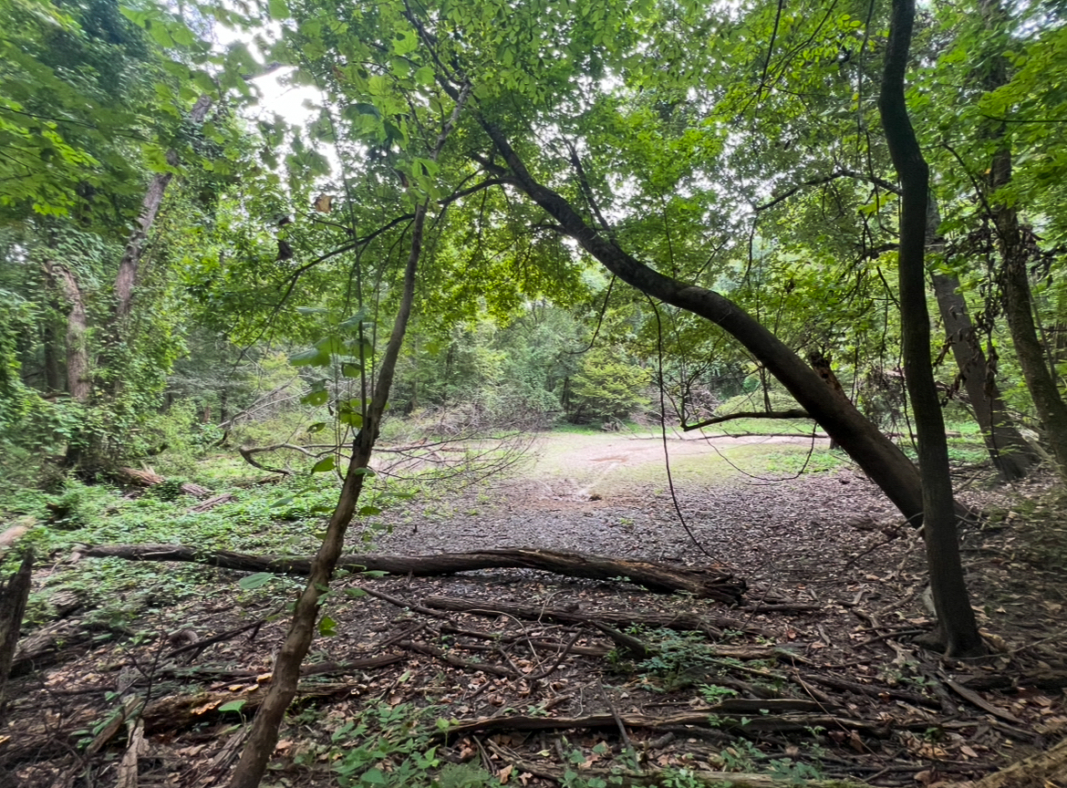 Lorman, MS Hunting Property near the Mississippi River