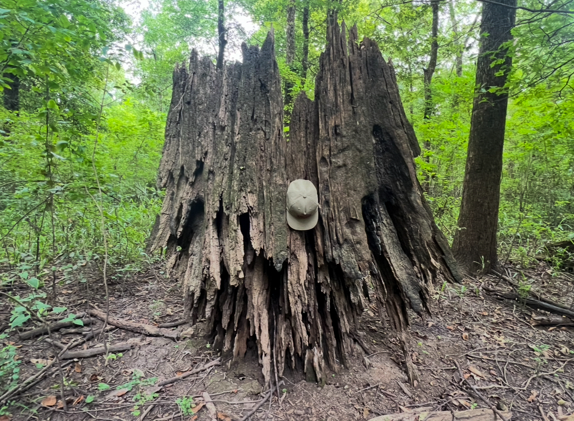 Lorman, MS Hunting Property near the Mississippi River