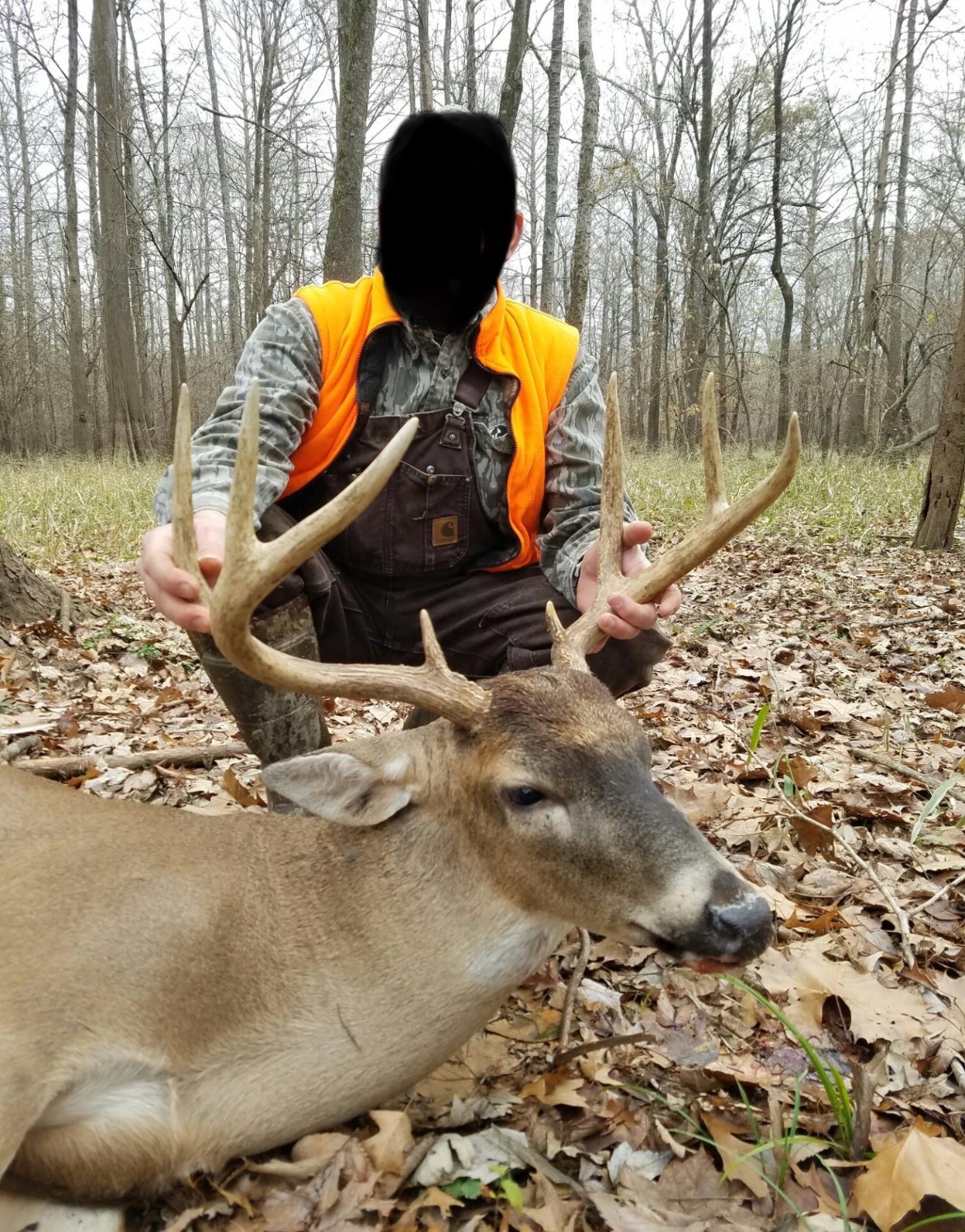 Lorman, MS Hunting Property near the Mississippi River