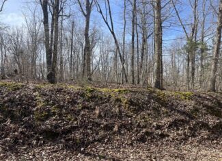 LAND FOR SALE IN HARDIN COUNTY TN, 11 ACRES