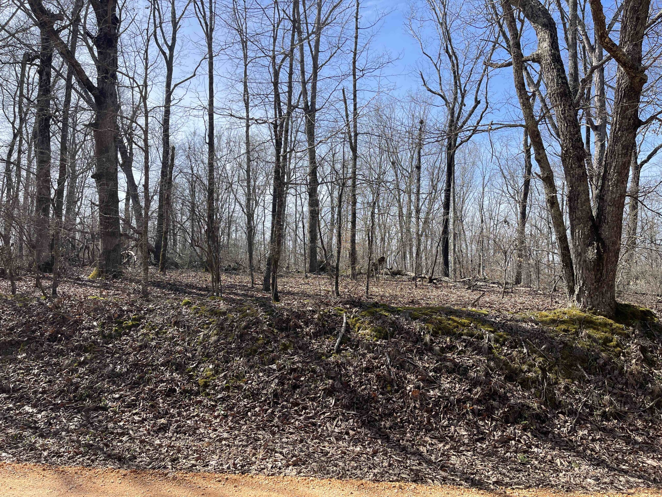 LAND FOR SALE IN HARDIN COUNTY TN, 11 ACRES