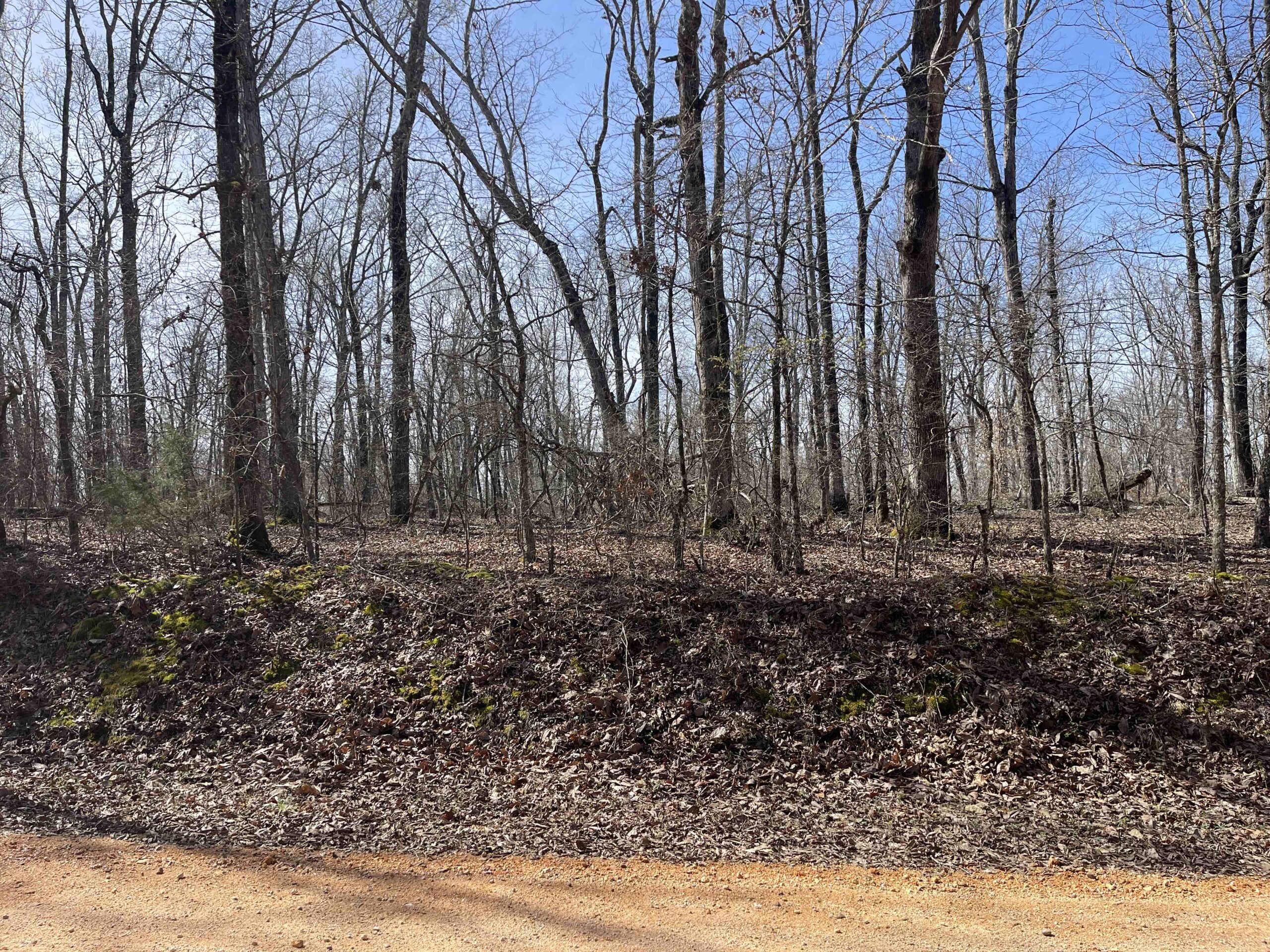 LAND FOR SALE IN HARDIN COUNTY TN, 11 ACRES