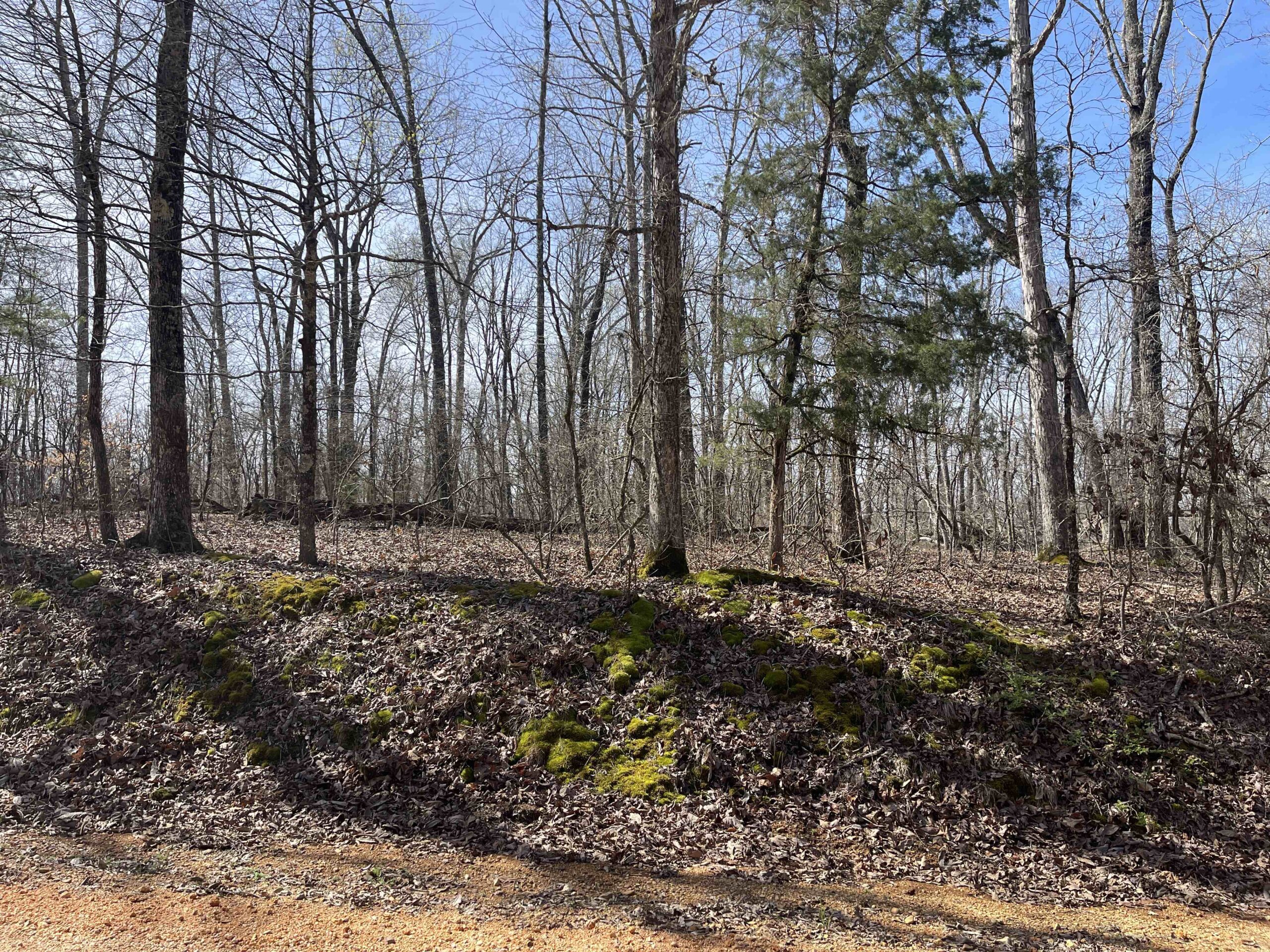 LAND FOR SALE IN HARDIN COUNTY TN, 11 ACRES