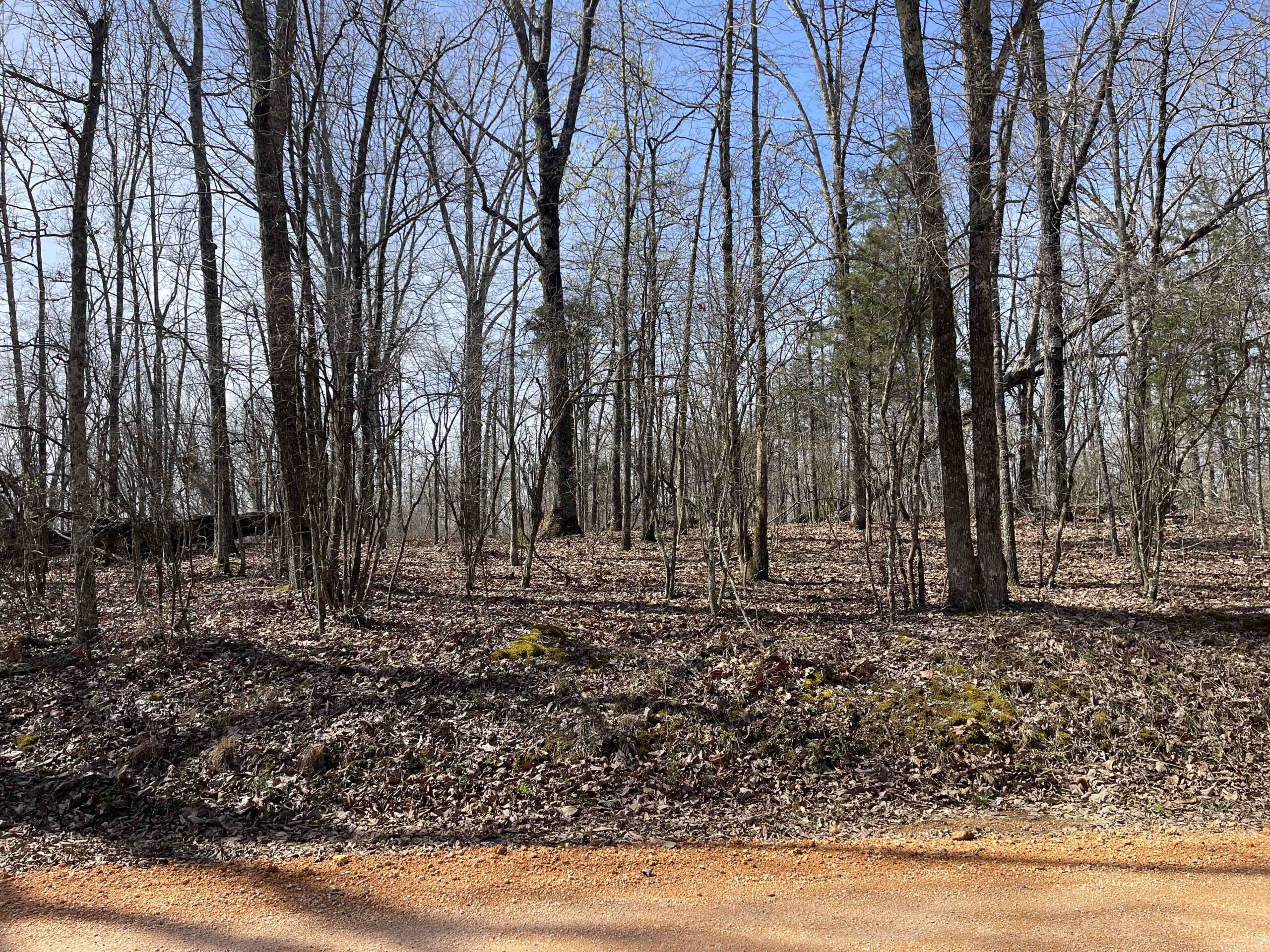 LAND FOR SALE IN HARDIN COUNTY TN, 11 ACRES
