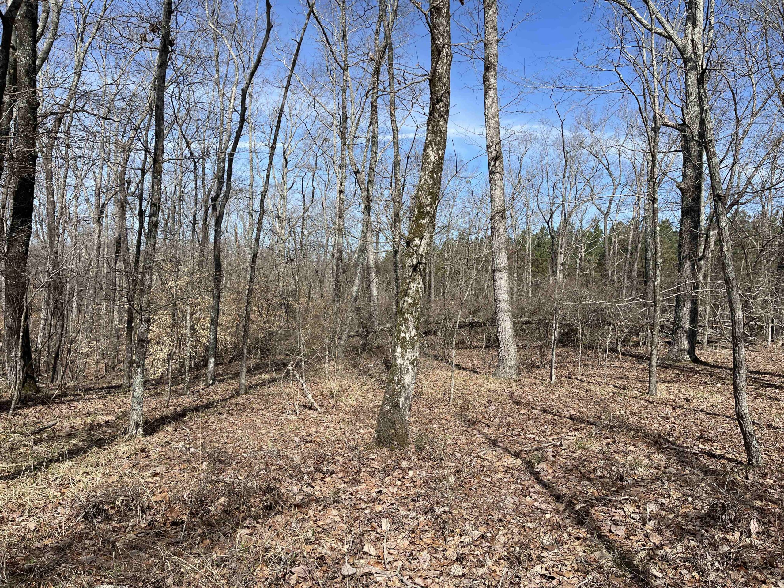LAND FOR SALE IN HARDIN COUNTY TN, 11 ACRES