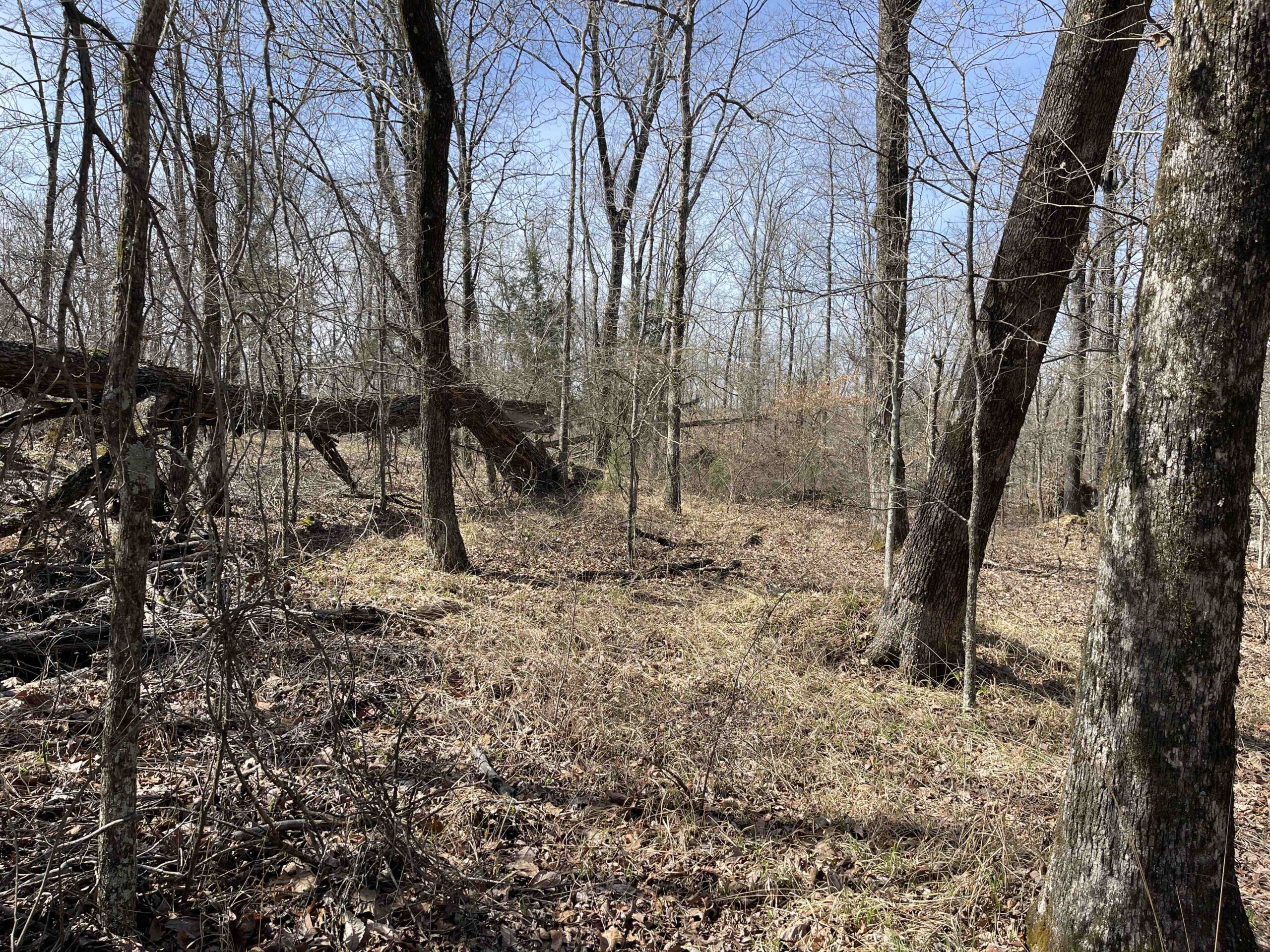 LAND FOR SALE IN HARDIN COUNTY TN, 11 ACRES