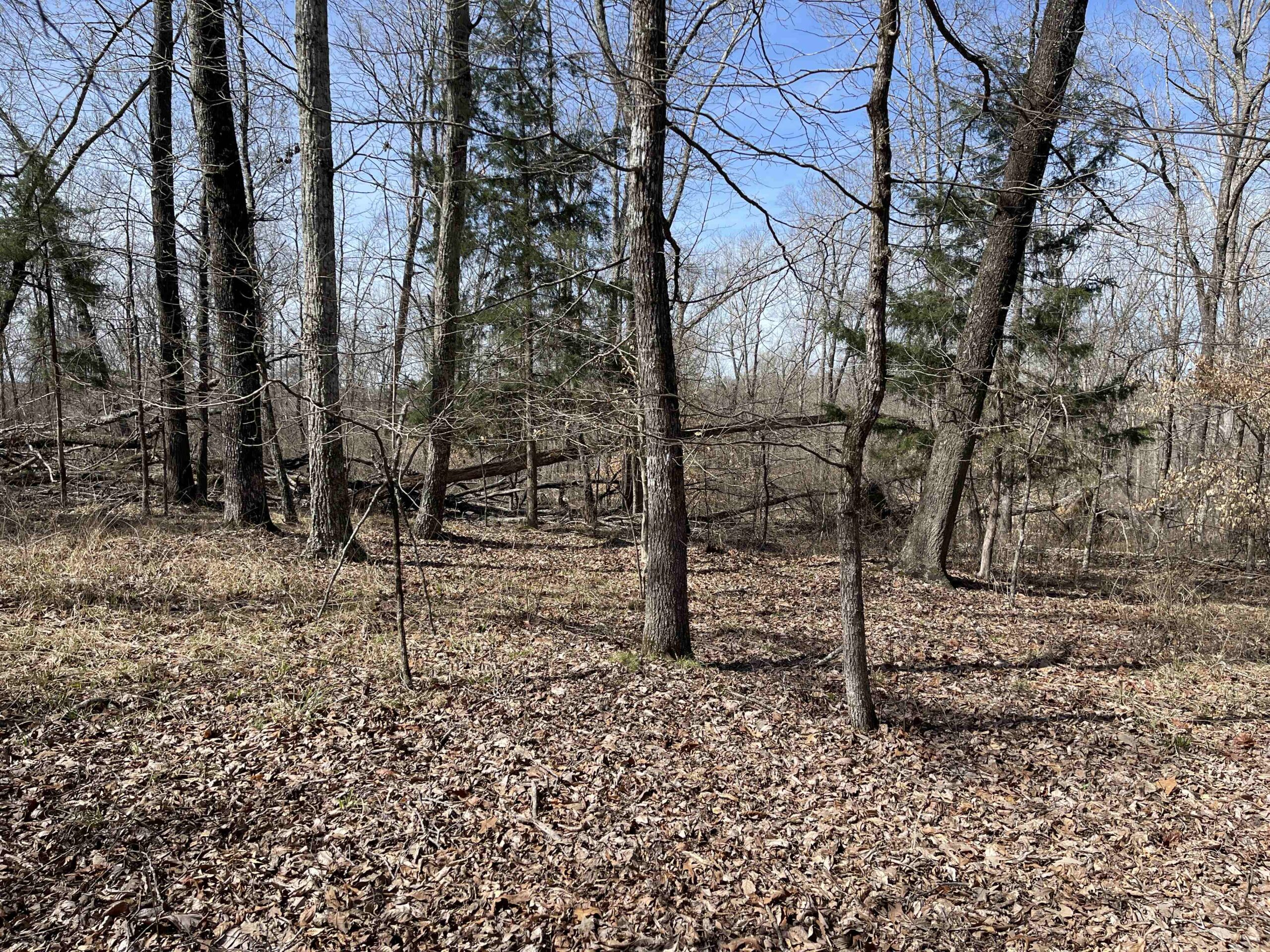 LAND FOR SALE IN HARDIN COUNTY TN, 11 ACRES