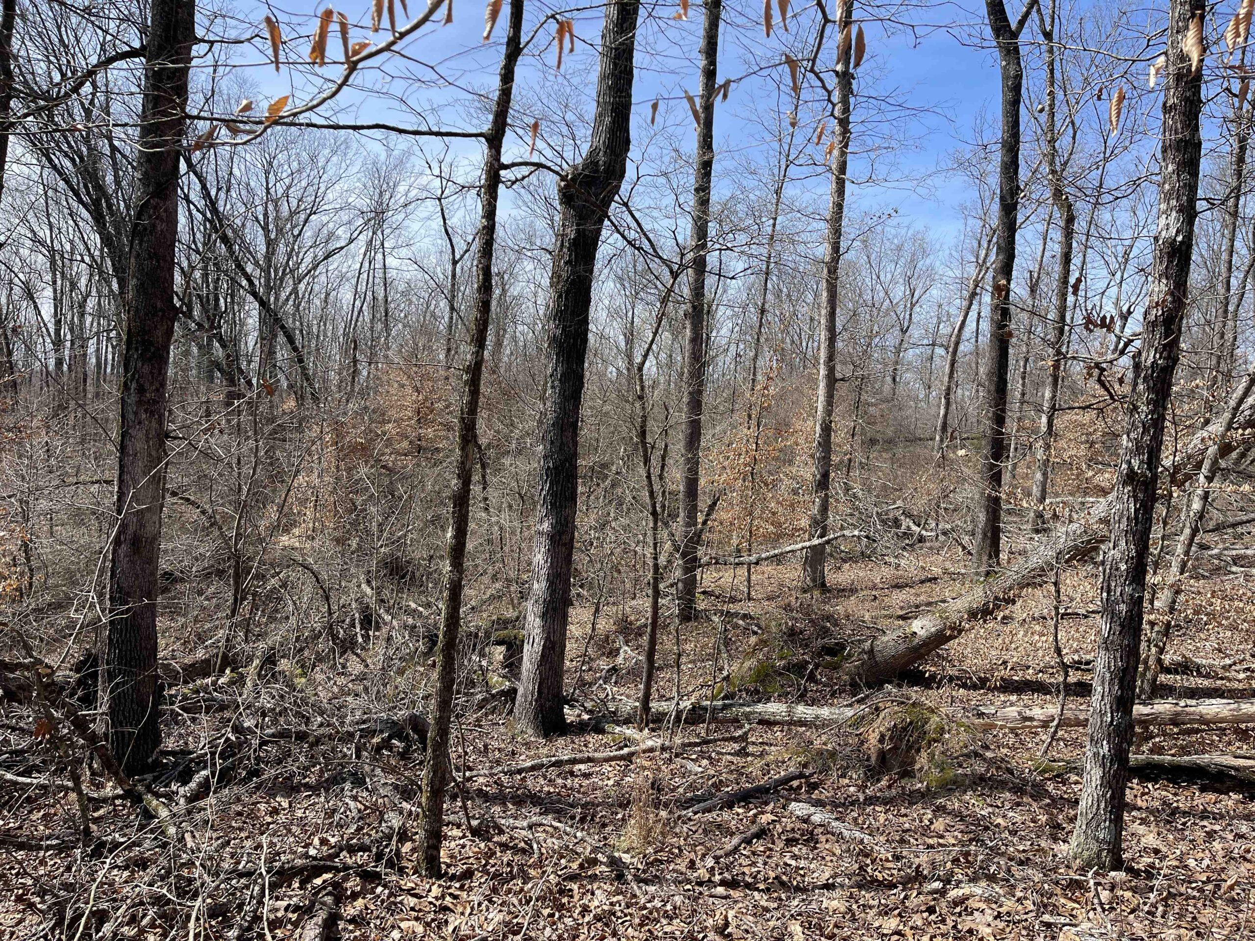 LAND FOR SALE IN HARDIN COUNTY TN, 11 ACRES