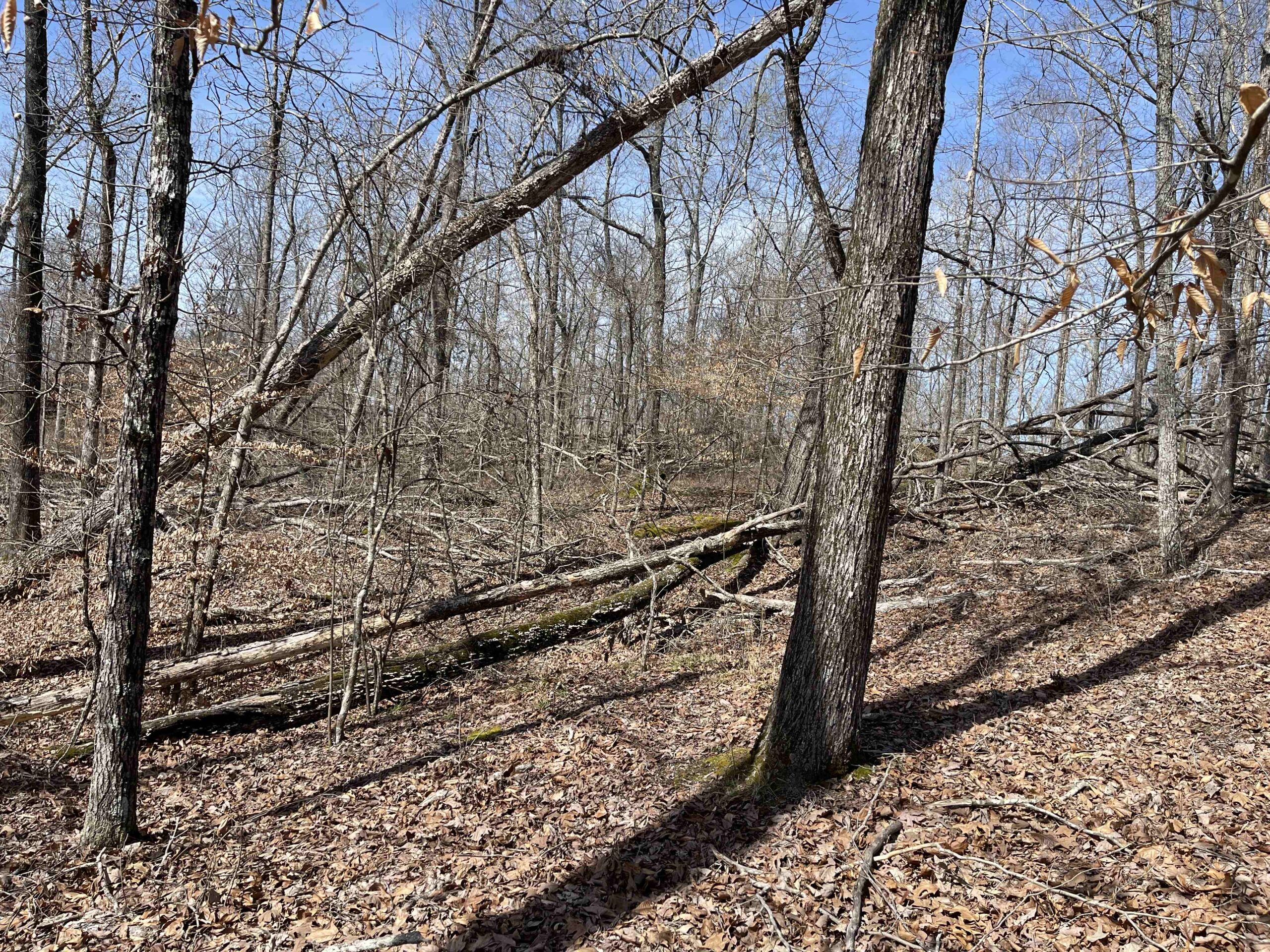 LAND FOR SALE IN HARDIN COUNTY TN, 11 ACRES