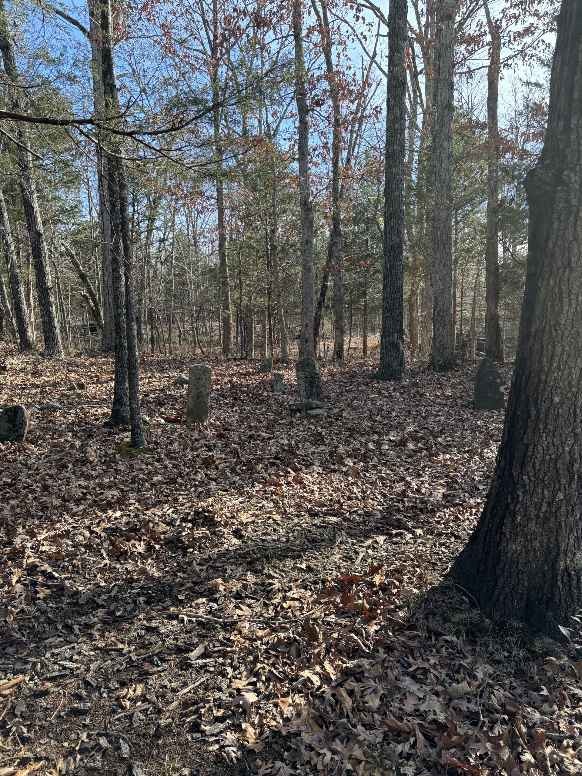 Hunting Property for Sale in Edgar Springs, MO